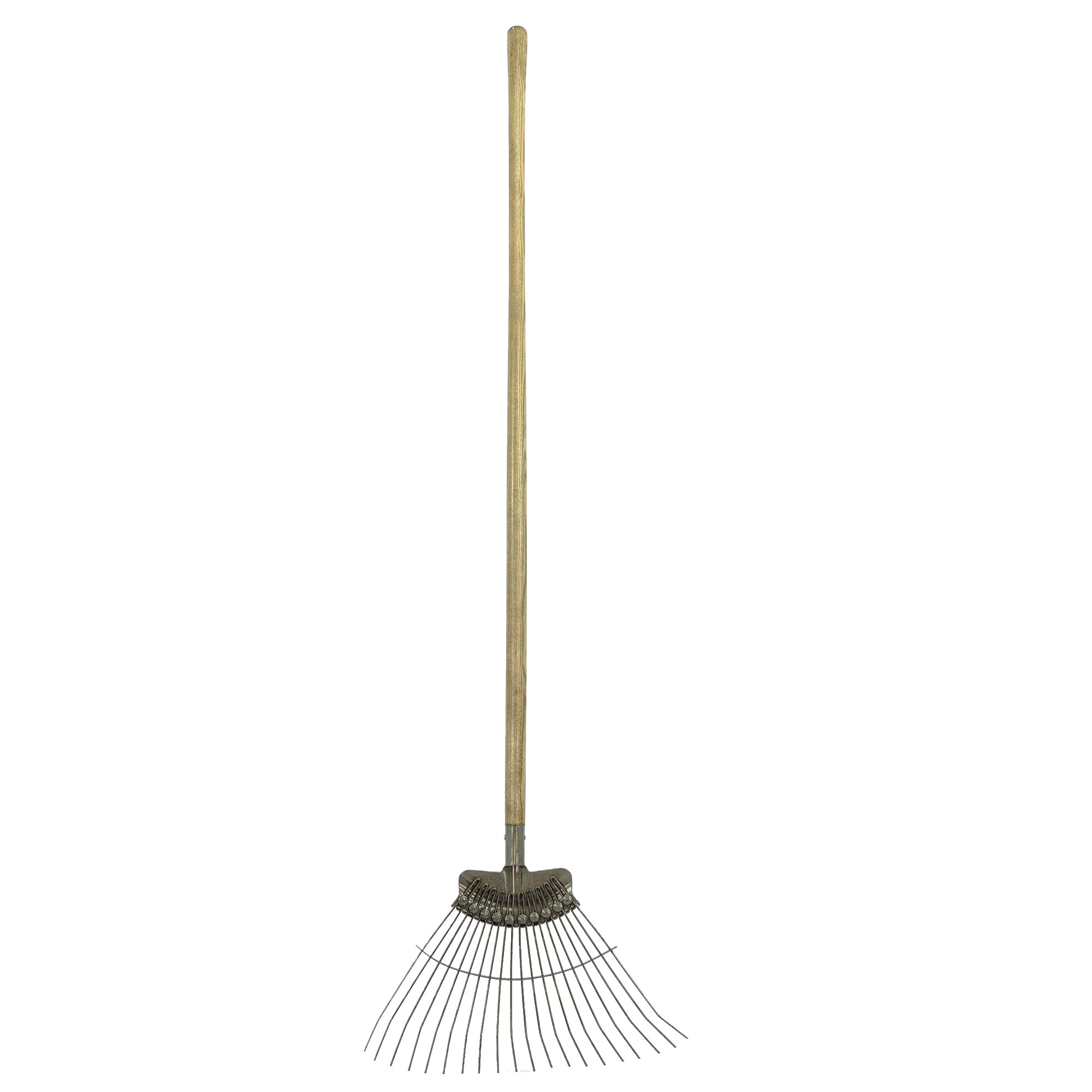 JCB 20 Teeth Heritage Lawn Rake 520mm Carbon Steel and Ash Handle | JCBHLR01